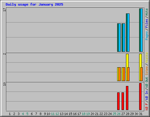Daily usage for January 2025