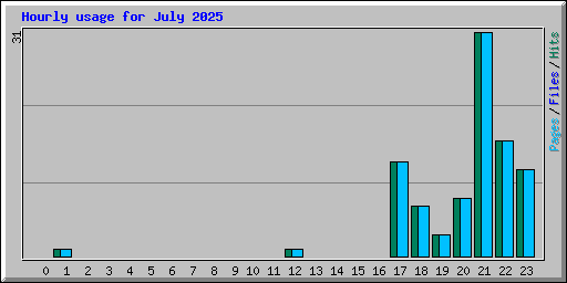 Hourly usage for July 2025
