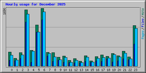 Hourly usage for December 2025